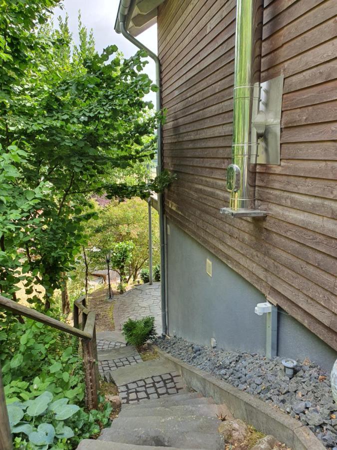 River Mosel Holiday Homes, Meerfeld Studio With A Lake View Exteriér fotografie