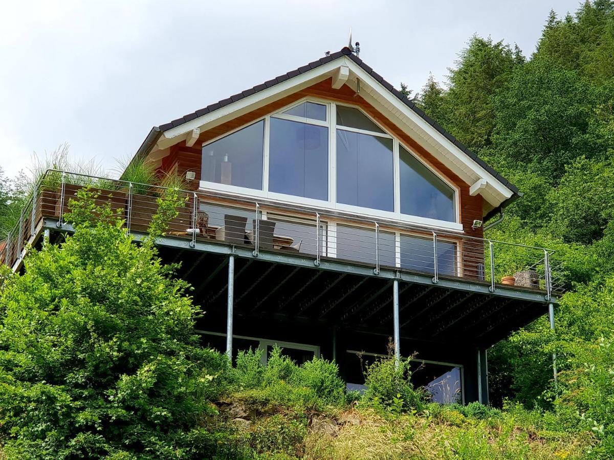 River Mosel Holiday Homes, Meerfeld Studio With A Lake View Exteriér fotografie